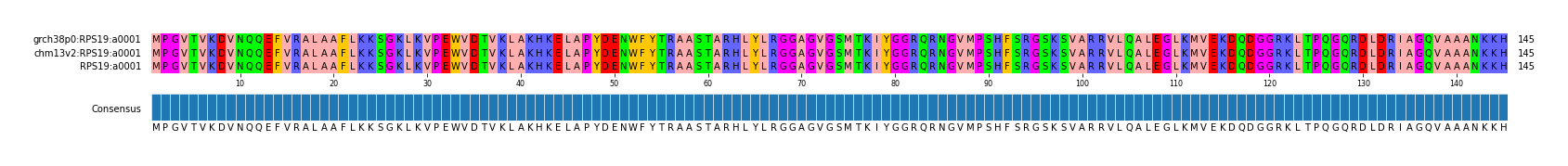 Multiple Alignments (by translate haplotype similarity)