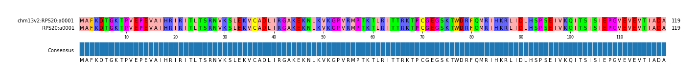 Multiple Alignments (by translate haplotype similarity)