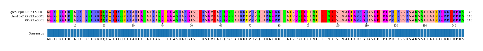 Multiple Alignments (by translate haplotype similarity)