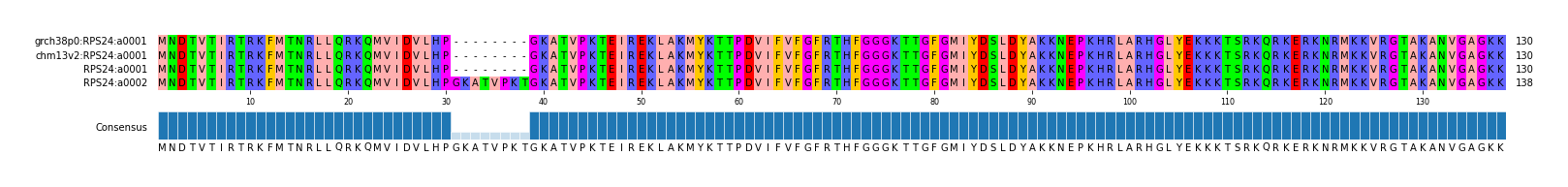 Multiple Alignments (by translate haplotype similarity)