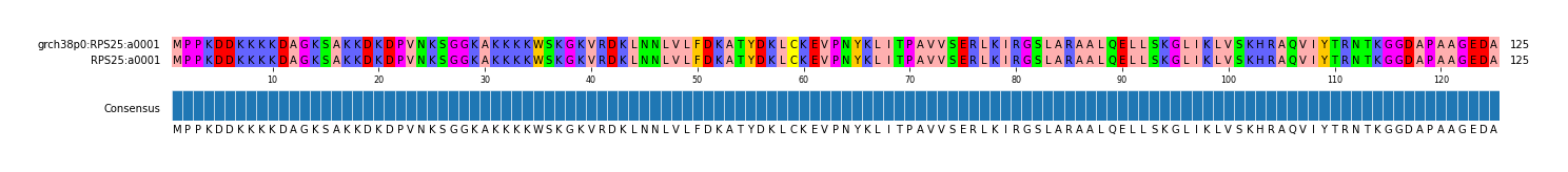 Multiple Alignments (by translate haplotype similarity)