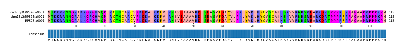 Multiple Alignments (by translate haplotype similarity)