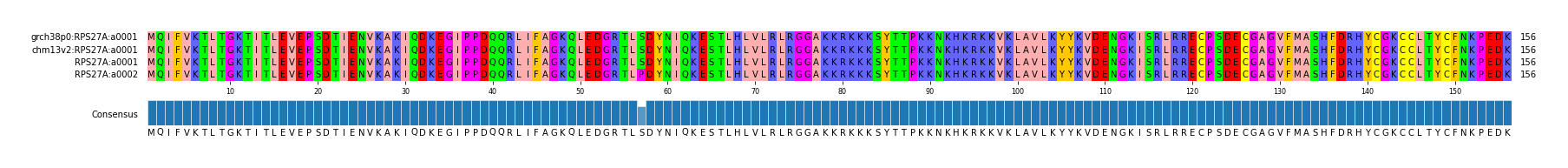 Multiple Alignments (by translate haplotype similarity)