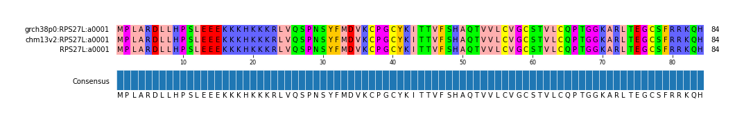 Multiple Alignments (by translate haplotype similarity)