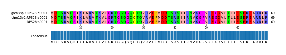 Multiple Alignments (by translate haplotype similarity)