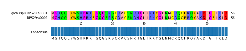 Multiple Alignments (by translate haplotype similarity)