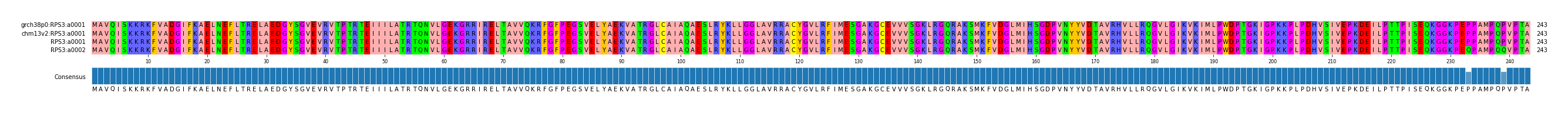 Multiple Alignments (by translate haplotype similarity)