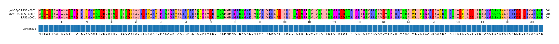 Multiple Alignments (by translate haplotype similarity)
