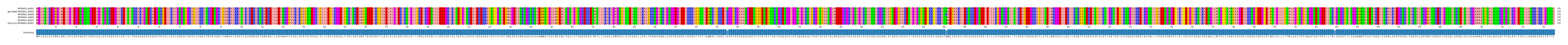 Multiple Alignments (by translate haplotype similarity)