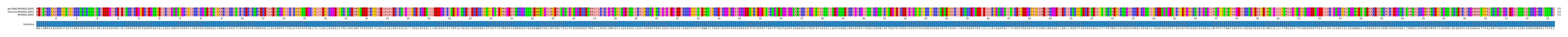 Multiple Alignments (by translate haplotype similarity)