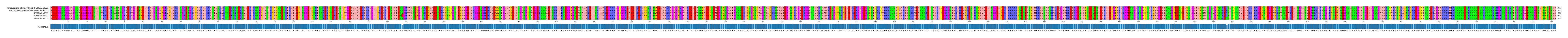 Multiple Alignments (by translate haplotype frequency)