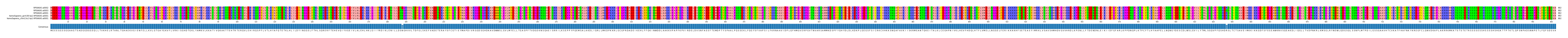 Multiple Alignments (by translate haplotype similarity)