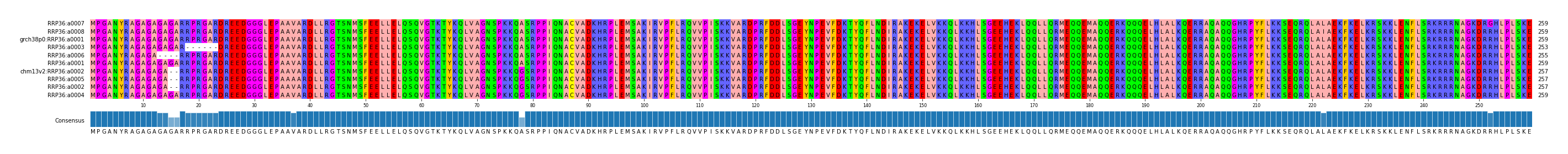 Multiple Alignments (by translate haplotype similarity)