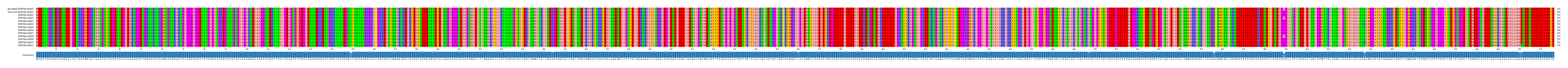 Multiple Alignments (by translate haplotype frequency)
