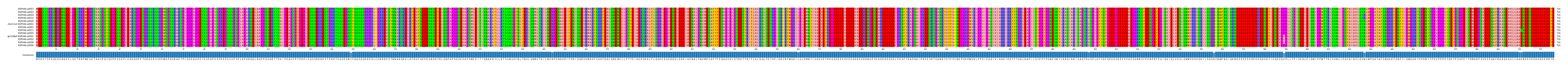 Multiple Alignments (by translate haplotype similarity)