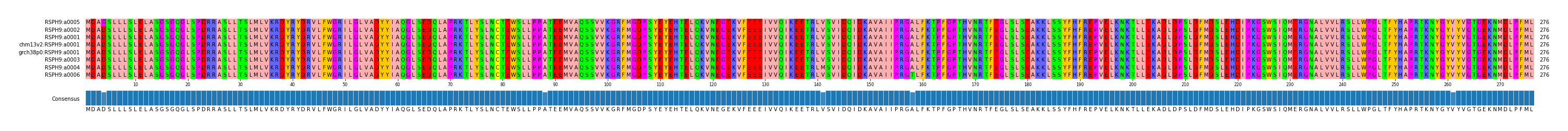 Multiple Alignments (by translate haplotype similarity)