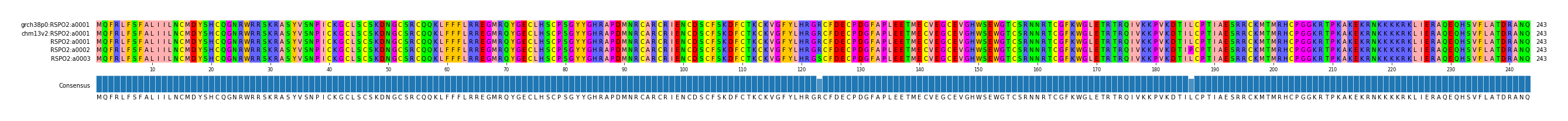Multiple Alignments (by translate haplotype frequency)
