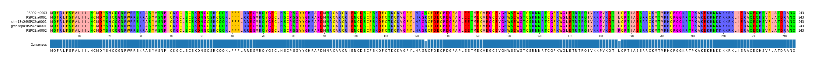 Multiple Alignments (by translate haplotype similarity)