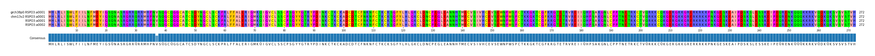 Multiple Alignments (by translate haplotype similarity)