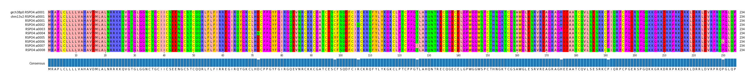 Multiple Alignments (by translate haplotype frequency)