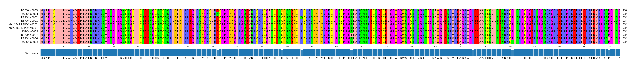 Multiple Alignments (by translate haplotype similarity)