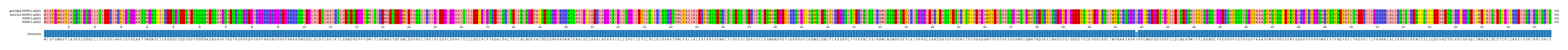 Multiple Alignments (by translate haplotype similarity)