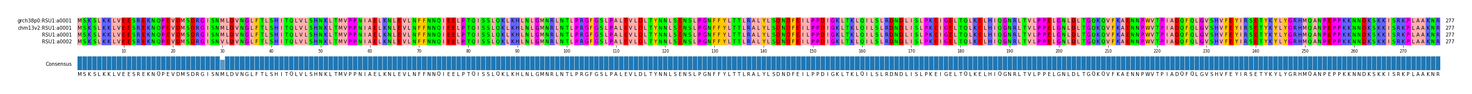 Multiple Alignments (by translate haplotype similarity)