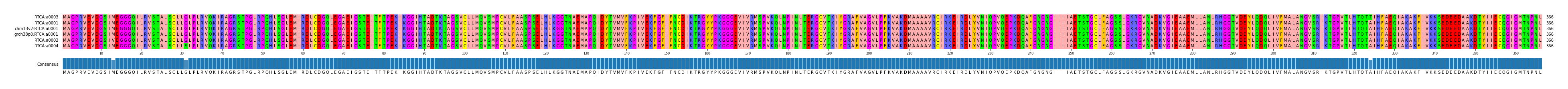 Multiple Alignments (by translate haplotype similarity)