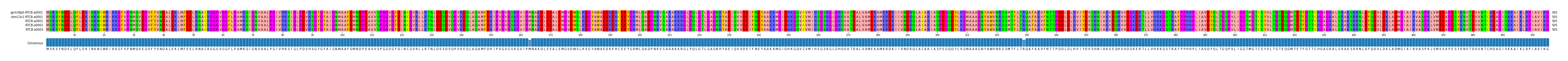 Multiple Alignments (by translate haplotype frequency)
