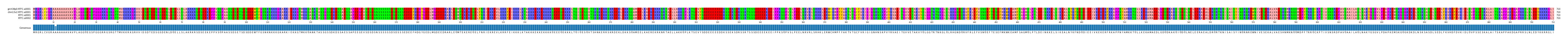 Multiple Alignments (by translate haplotype similarity)