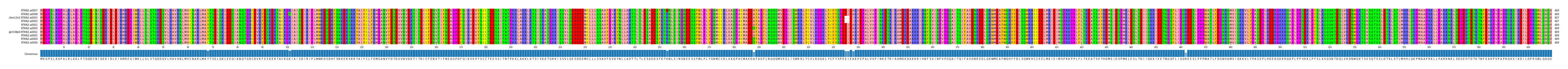 Multiple Alignments (by translate haplotype similarity)