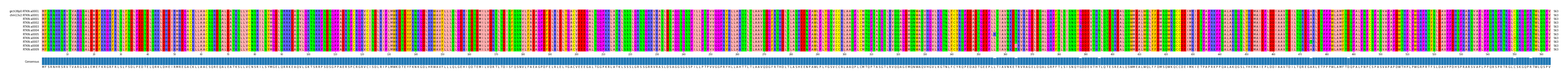 Multiple Alignments (by translate haplotype frequency)