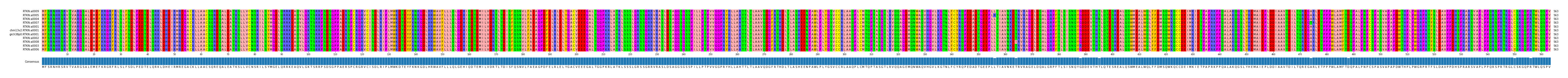 Multiple Alignments (by translate haplotype similarity)
