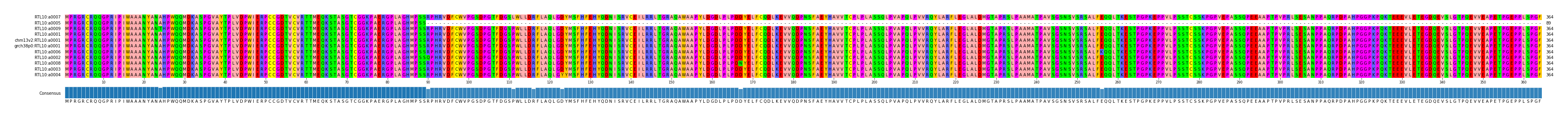Multiple Alignments (by translate haplotype similarity)