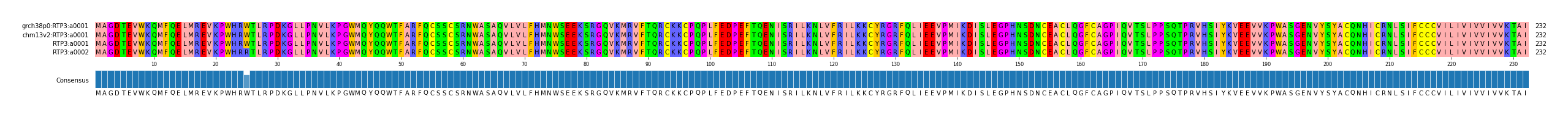 Multiple Alignments (by translate haplotype similarity)