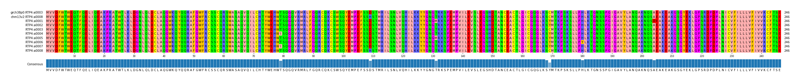 Multiple Alignments (by translate haplotype frequency)