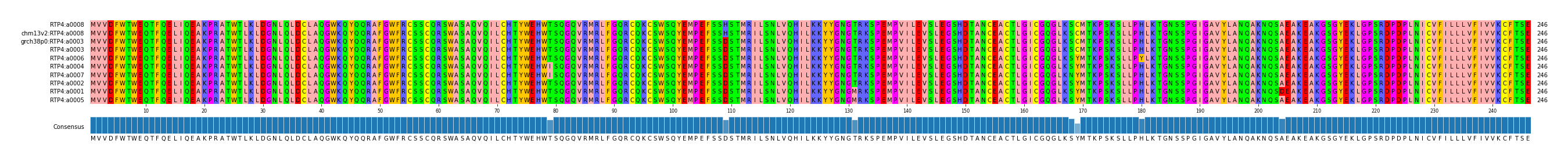 Multiple Alignments (by translate haplotype similarity)