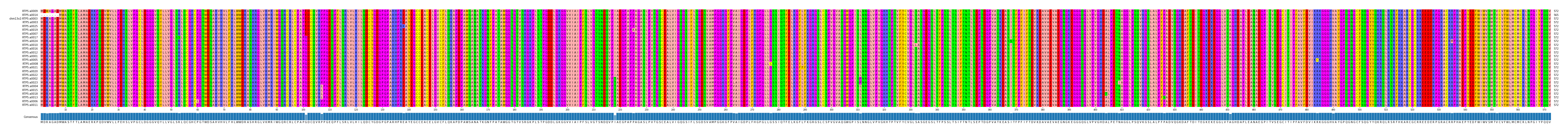 Multiple Alignments (by translate haplotype similarity)