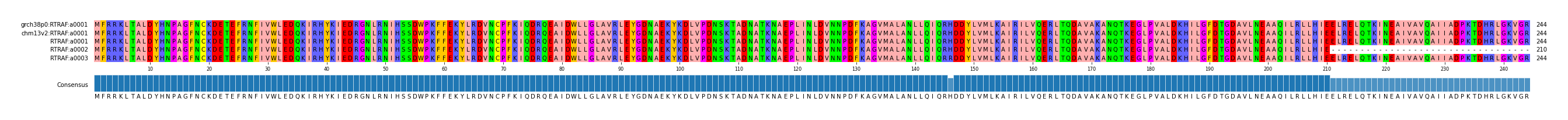 Multiple Alignments (by translate haplotype frequency)