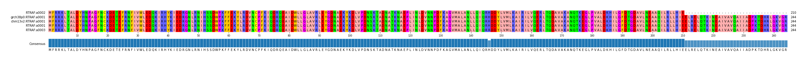Multiple Alignments (by translate haplotype similarity)