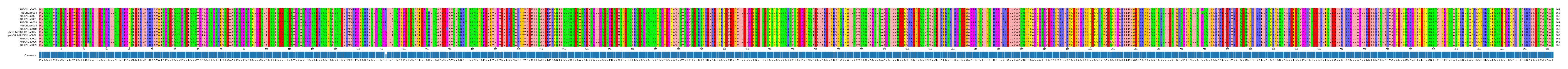 Multiple Alignments (by translate haplotype similarity)