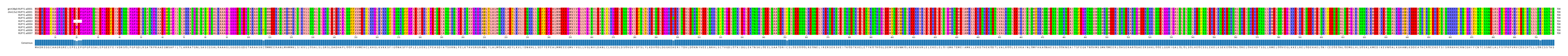 Multiple Alignments (by translate haplotype frequency)