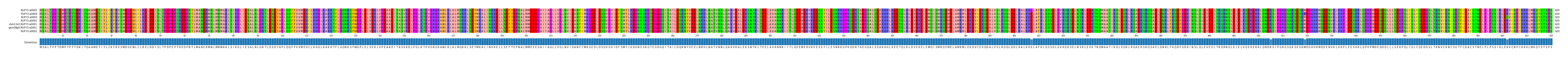 Multiple Alignments (by translate haplotype similarity)