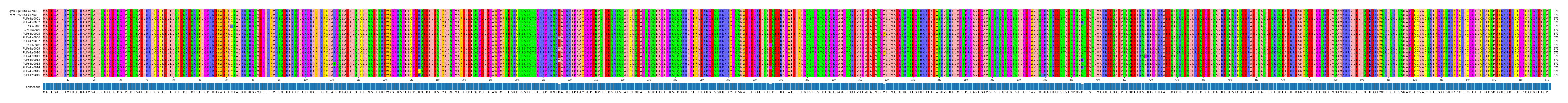 Multiple Alignments (by translate haplotype frequency)