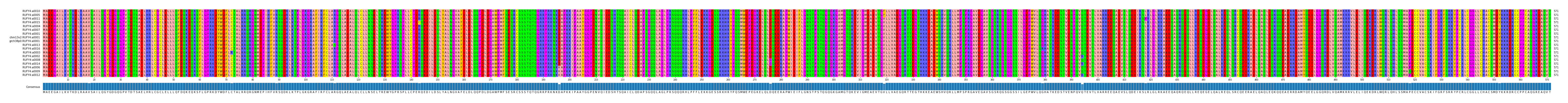 Multiple Alignments (by translate haplotype similarity)