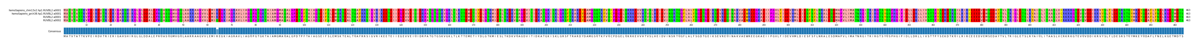 Multiple Alignments (by translate haplotype similarity)