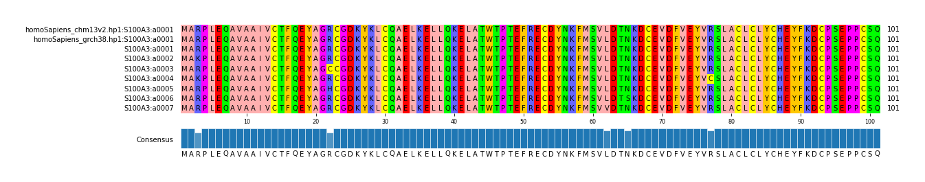Multiple Alignments (by translate haplotype frequency)