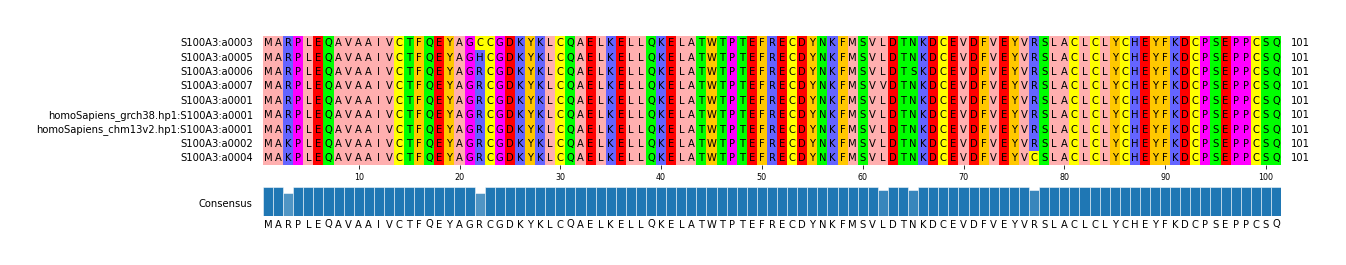 Multiple Alignments (by translate haplotype similarity)