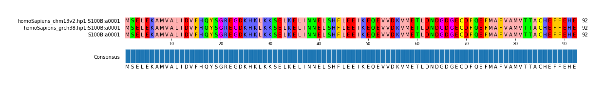 Multiple Alignments (by translate haplotype similarity)
