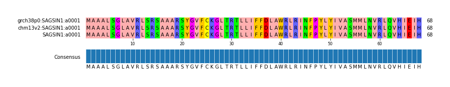 Multiple Alignments (by translate haplotype similarity)